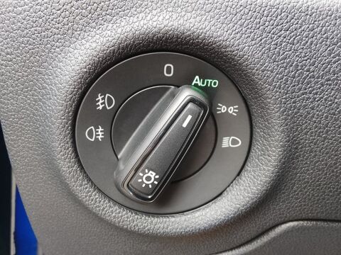 Fabia 1.0 TSI 116 DSG7 Monte-Carlo 2025 occasion 42240 Unieux