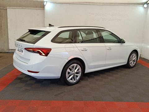 Octavia 2.0 TDI 150 DSG7 Ambition 2023 occasion 91580 &Eacute;tr&eacute;chy