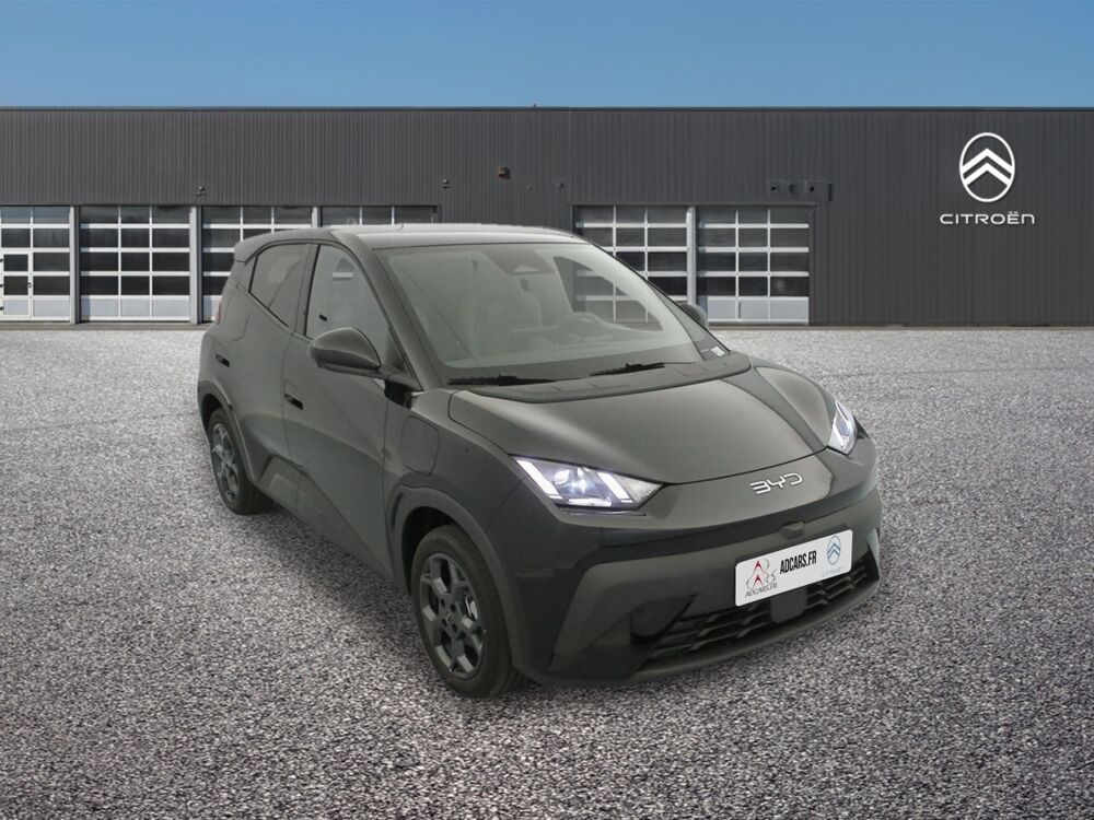 Dolphin 43.2kWh Comfort 2025 occasion 63360 Gerzat