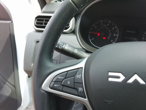 Duster Journey+ ECO-G 100 4x2 + Pack camera 360 2023 occasion 42240 Unieux
