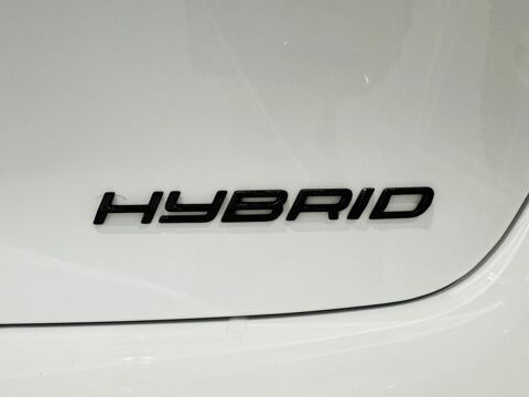 208 Hybrid 100 e-DCS6 GT 2024 occasion 30220 Aigues-Mortes