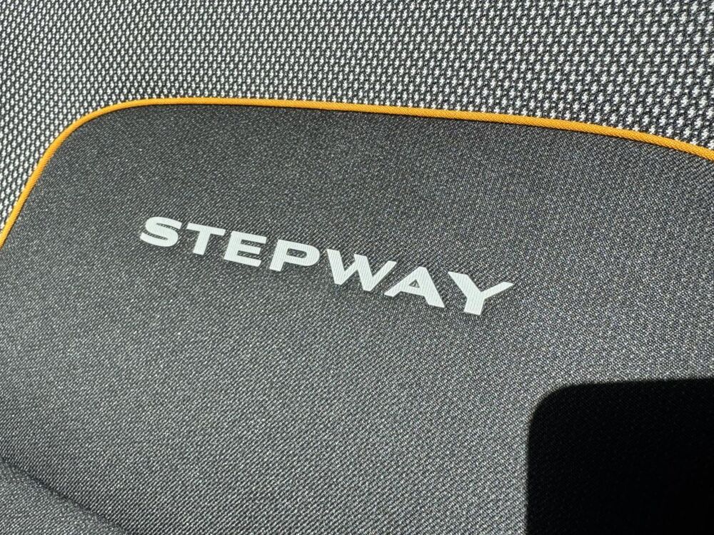Sandero Stepway ECO-G 100 2021 occasion 86440 Mign&eacute;-Auxances