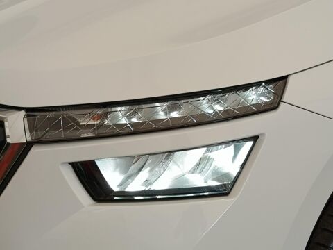 Kamiq 1.0 TSI 95ch BVM5 Business 2023 occasion 91580 &Eacute;tr&eacute;chy