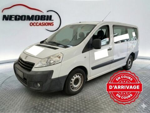 Expert tepee 2.0 HDI 125 Access 9 LONG 2014 occasion 35210 Ch&acirc;tillon-en-Vendelais