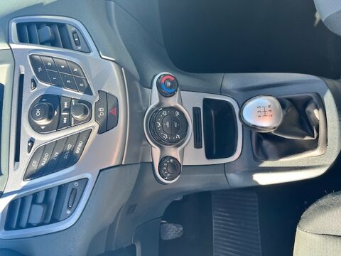 Fiesta 3P 1.4 TDCI 68 Trend 2010 occasion 47200 Saint-Pardoux-du-Breuil