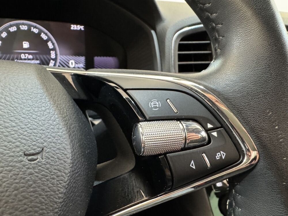 Karoq 2.0 TDI 116ch Selection 2024 occasion 91580 &Eacute;tr&eacute;chy