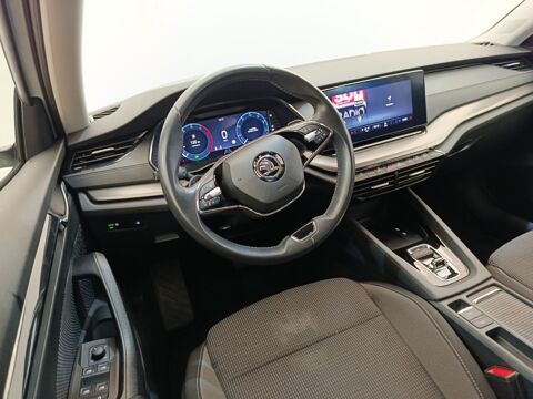Octavia 2.0 TDI 150 DSG7 Ambition 2023 occasion 91580 &Eacute;tr&eacute;chy