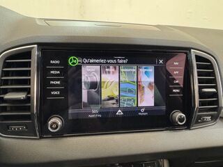 Karoq 2.0 TDI 116ch Selection 2024 occasion 91580 &Eacute;tr&eacute;chy
