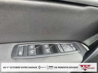 M&eacute;gane SL Limited TCe 115 FAP 2020 occasion 40160 Parentis-en-Born