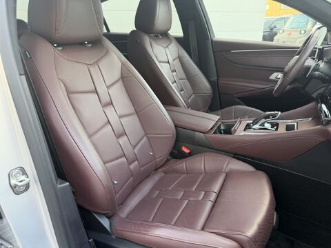 DS9 1.6 E-TENSE 360 RIVOLI + 4WD 2022 occasion 69330 Meyzieu