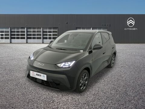 Dolphin 43.2kWh Comfort 2025 occasion 63360 Gerzat