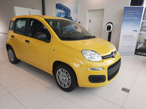 Fiat Panda 1.0 70 ch BSG S/S Hybrid City 2025 occasion Barentin 76360