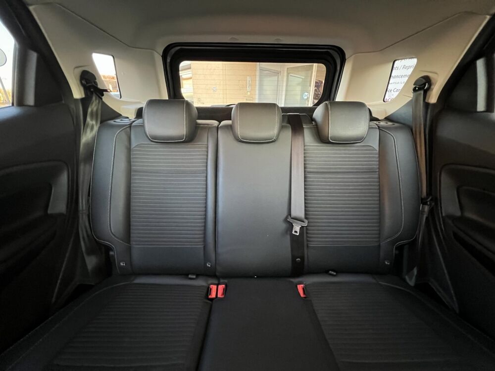 Ecosport 1.5 Ecoblue 125ch TITANIUM BUSINESS 2019 occasion 42640 Saint-Germain-Lespinasse