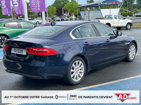 XE 2.0D 180ch Prestige Auto 2018 occasion 40160 Parentis-en-Born