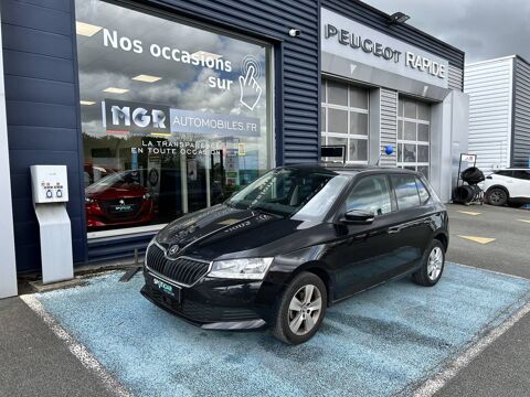 Annonce voiture Skoda Fabia 10690 