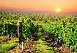  Appartement  vendre 3 pices 27 m