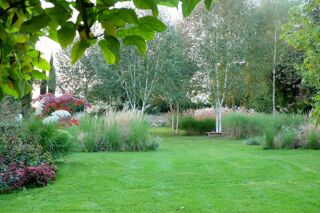  Appartement � vendre 2 pi�ces 40 m�