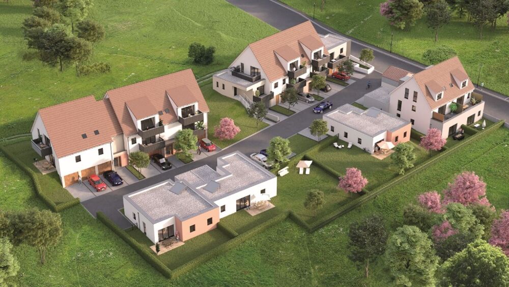 Vente Appartement VISITABLE Duplex au milieu des vignes avec grande terrasse Rouffach
