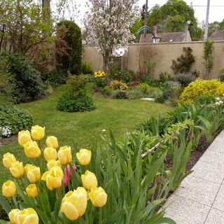  Appartement  vendre 1 pice 30 m