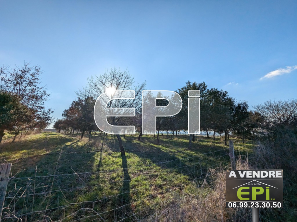 vente Terrain Berrie (86120)