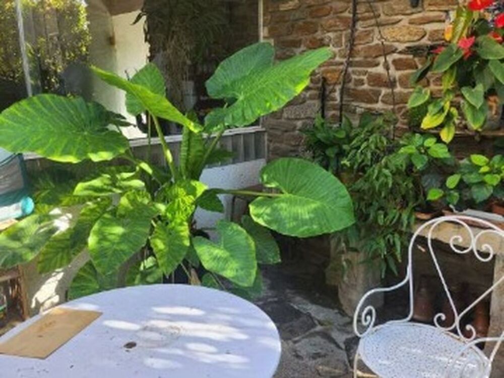  vendre  Maison Toulon (83000)