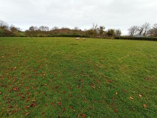  Terrain � vendre 3608 m�