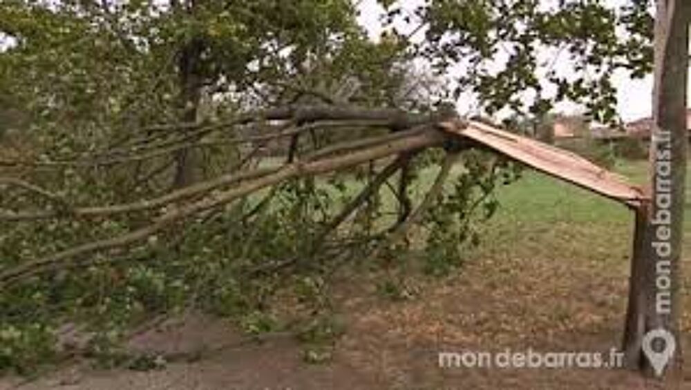OFFRE BRANCHES D'ARBRE Jardin