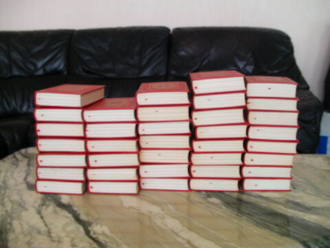 LES GRANDS ROMANS HISTORIQUES 30 Saint-Etienne (42)