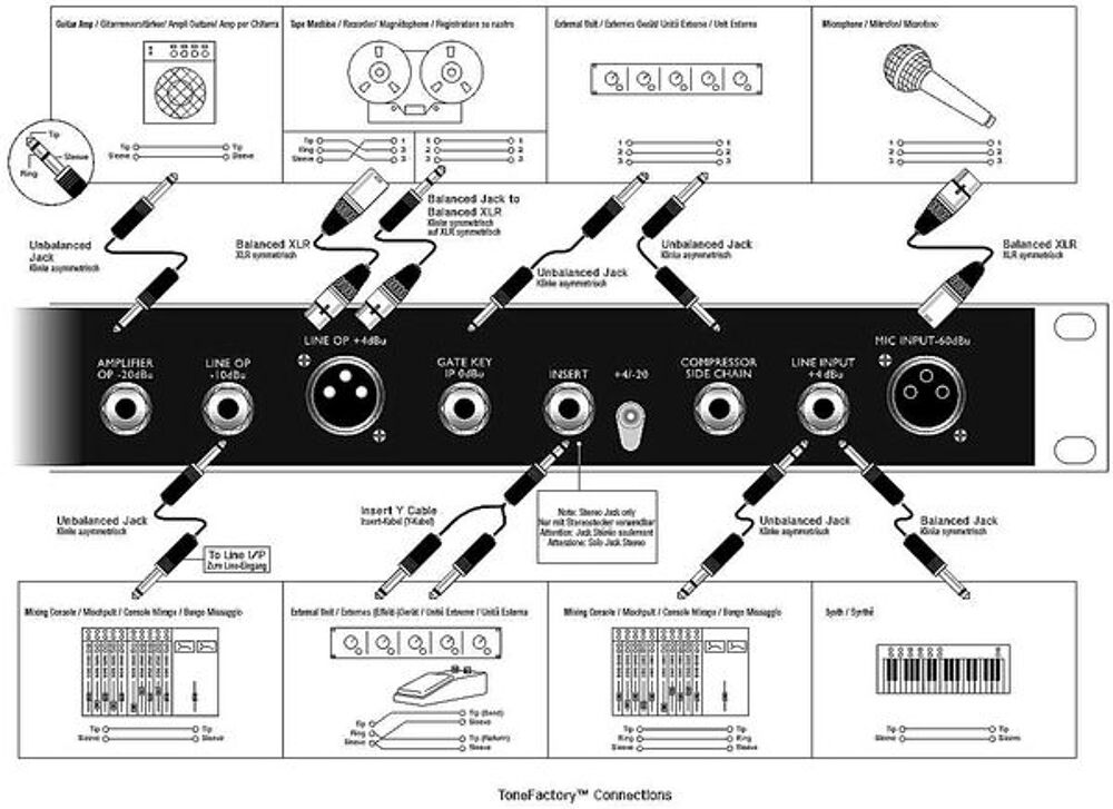 Focusrite Platinum Tone Factory et Voice Master Instruments de musique