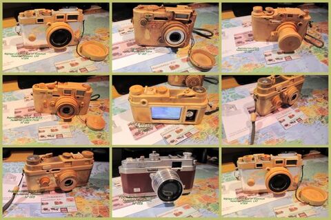 Appareils Photo UNIQUES 0 meringes (69)