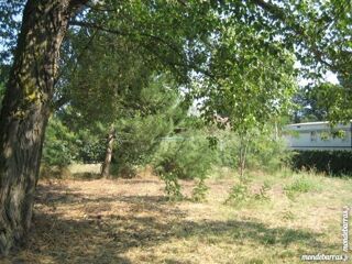  Terrain  vendre 800 m