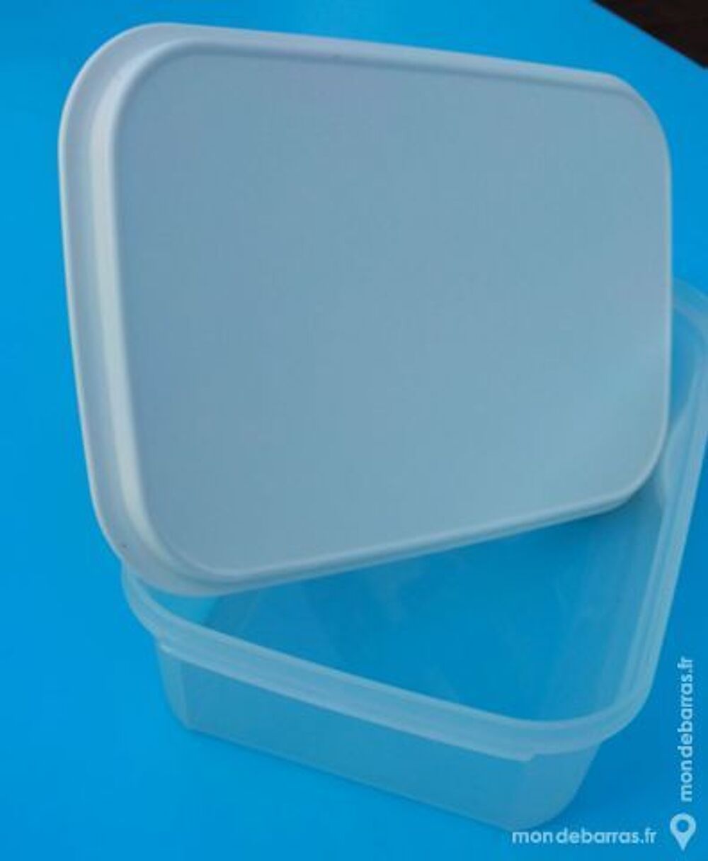 TUPPERWARE grande boite charcuterie 39*18cm Cuisine