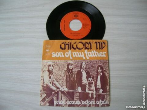 45 TOURS CHICORY TIP Son of my father 6 Nantes (44)