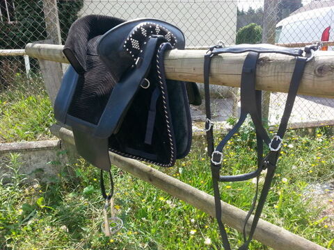 Selle ZALDI 0 Versailles (78)