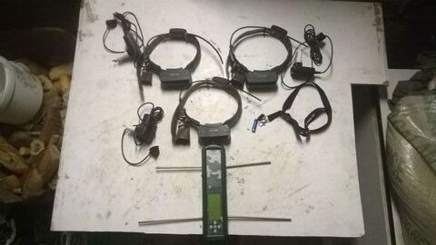 collier de reprage tinyloc 650 Camparan (65)