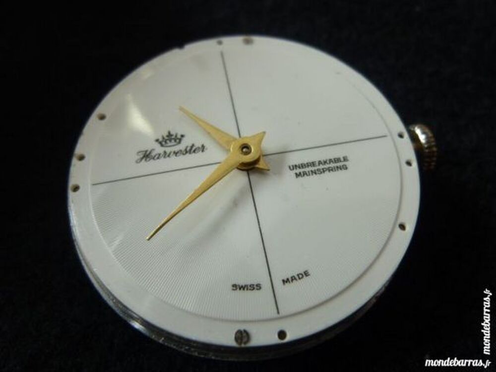 HARWESTER montre m&eacute;canique Suisse DIV0506 Bijoux et montres