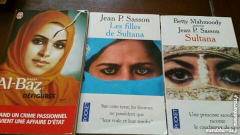 Lot 3 livres bon etat 3 Avignon (84)