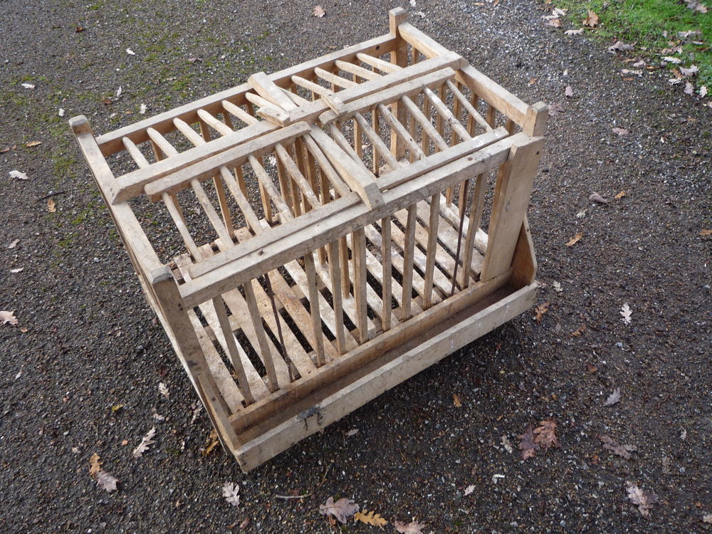 Cage &agrave; poules en bois de march&eacute; ancienne Décoration