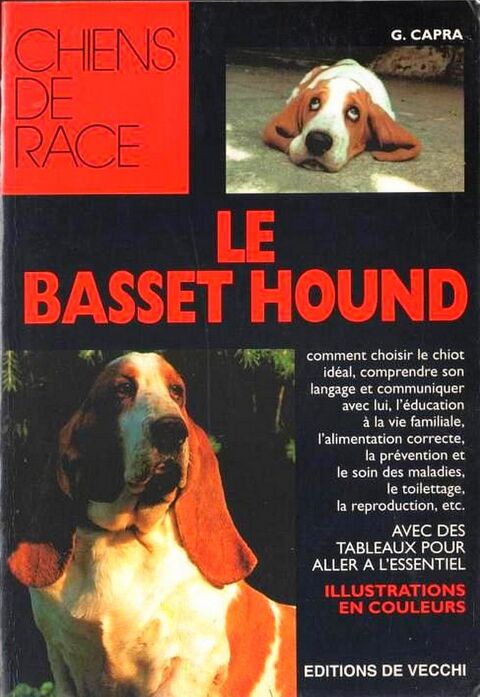LE BASSET HOUND - chien  ELEVAGE / prixportcompris 14 Lille (59)