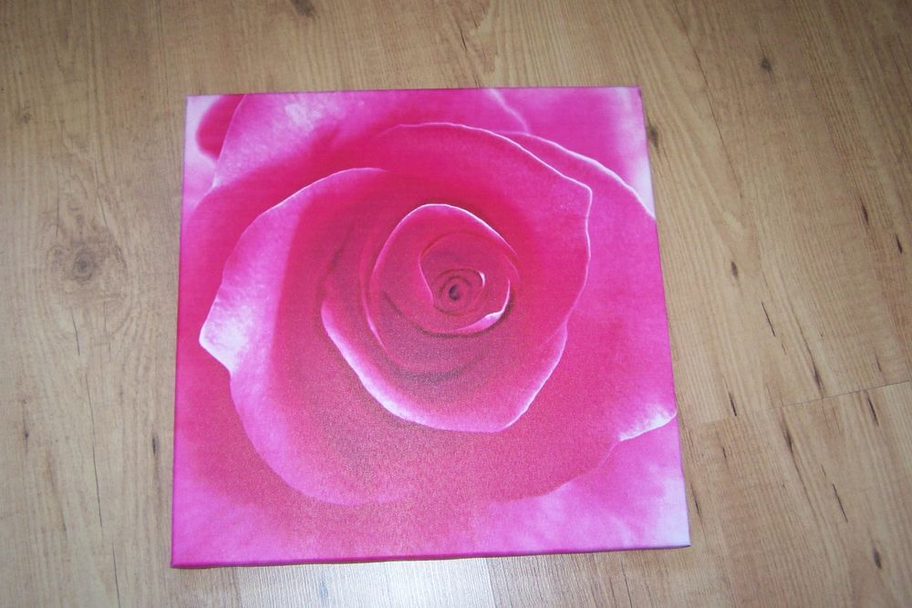 tableau/cadre motif rose, ETAT NEUF Décoration