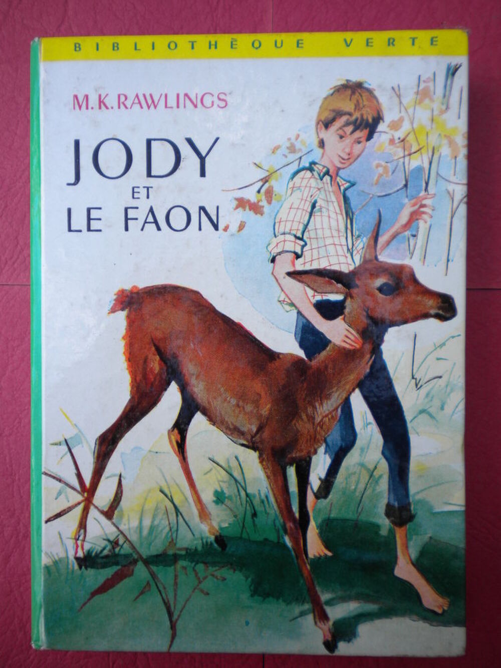 12 LIVRES ADOLESCENTS Gar&ccedil;ons ? 6 Livres et BD