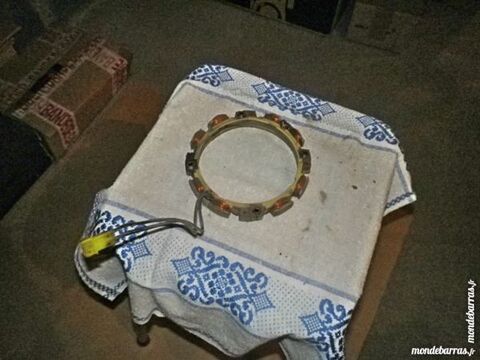 stator moteur briggs tondeuse 30 Fontaine-Gurin (49)