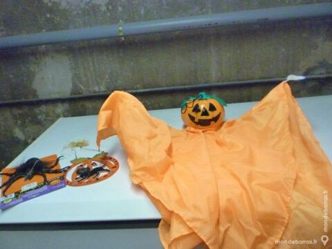 D�corations pour la f�te d'halloween 40 Le Syndicat (88)