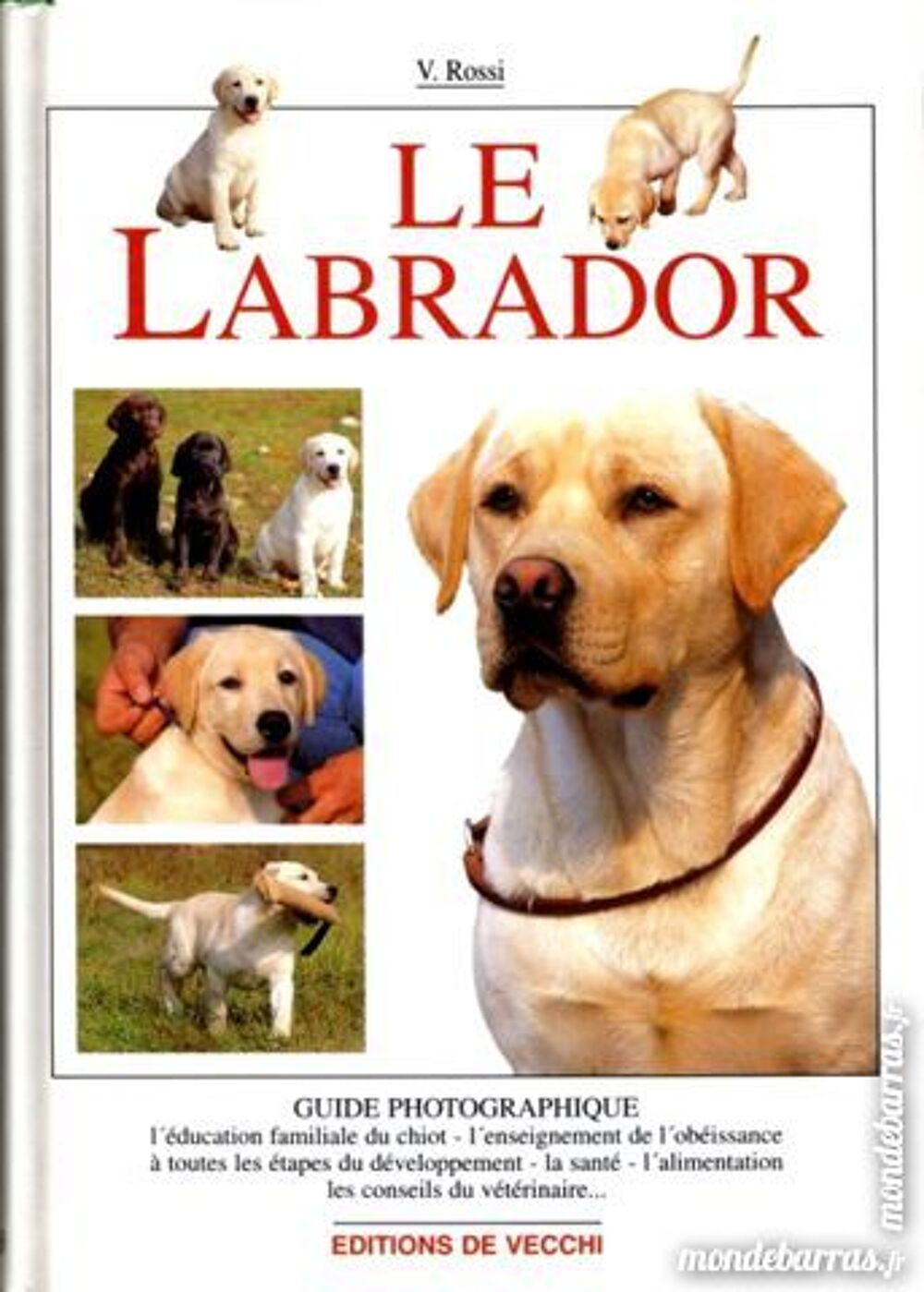 GOLDEN - LABRADOR - retriever / prixportcompris Livres et BD