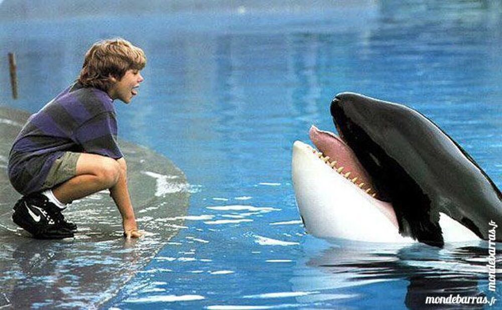 Dvd: Sauvez Willy (316) DVD et blu-ray