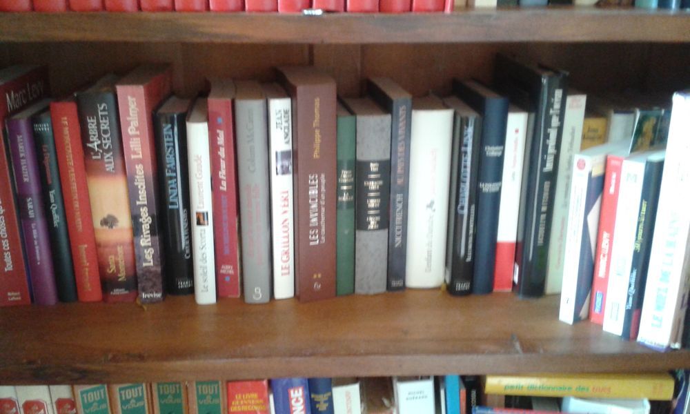 100 romans = 100 euros Livres et BD
