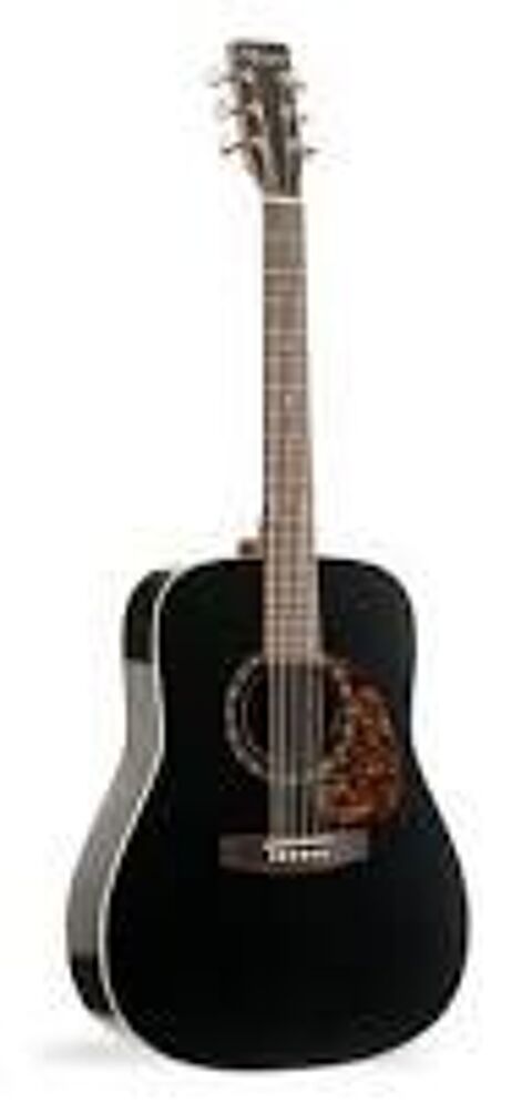 Guitare Norman B18 Black 0 Lyon 7 (69)