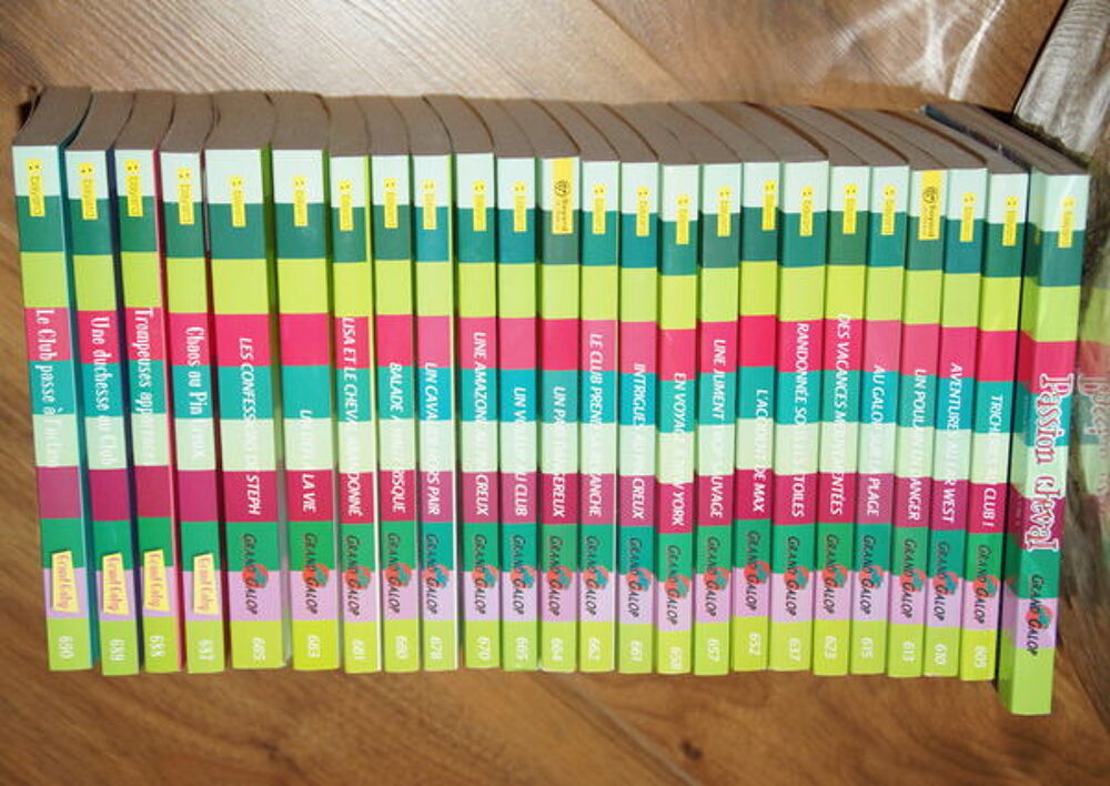 LOT DE 24 LIVRES GRAND GALOP Livres et BD