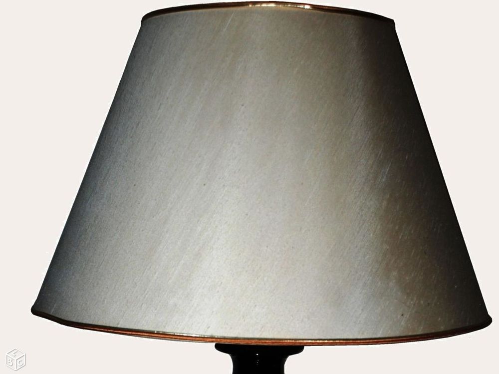 Belle LAMPE &agrave; poser ROCHE BOBOIS Décoration