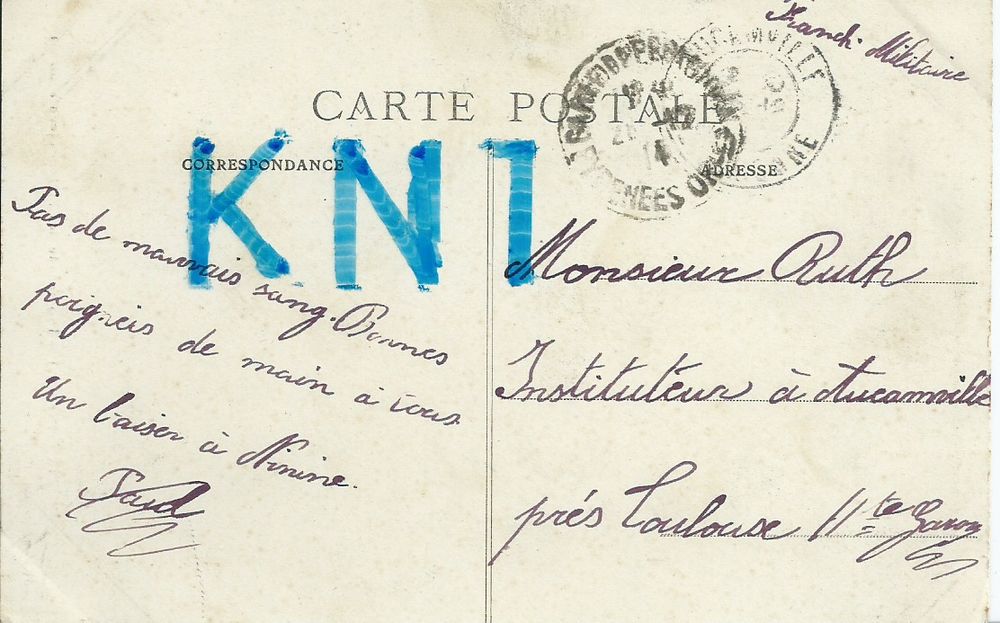66 perpignan platanes centenaires 1914 